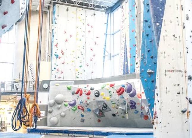 Sortie d'escalade Allez-Up [E25]