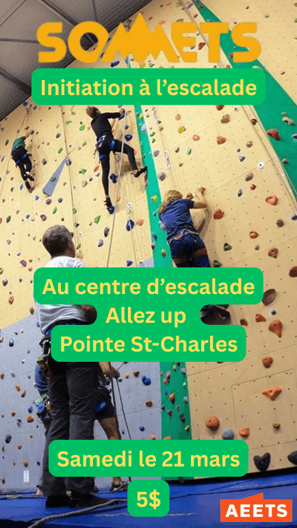 Initiation à l'escalade de voie au Allez-Up Pointe-St-Charles